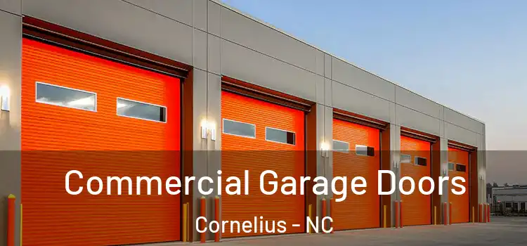 Commercial Garage Doors Cornelius - NC