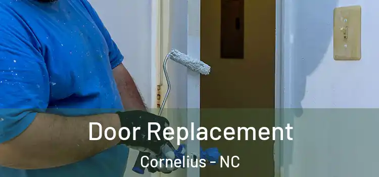  Door Replacement Cornelius - NC