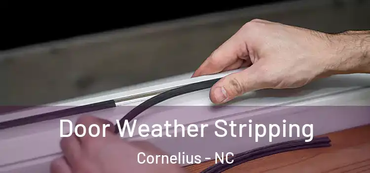  Door Weather Stripping Cornelius - NC