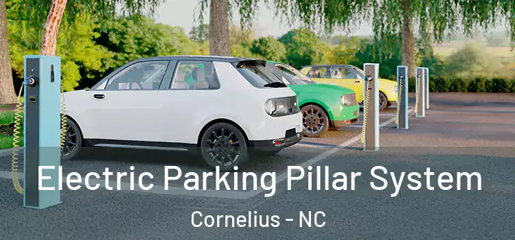  Electric Parking Pillar System Cornelius - NC