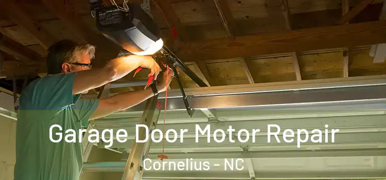  Garage Door Motor Repair Cornelius - NC