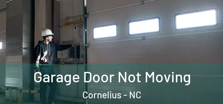  Garage Door Not Moving Cornelius - NC