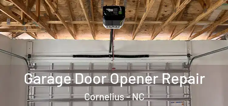  Garage Door Opener Repair Cornelius - NC