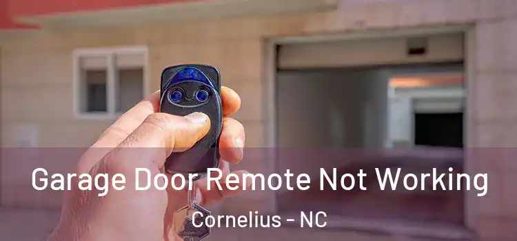  Garage Door Remote Not Working Cornelius - NC