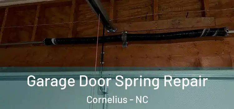 Garage Door Spring Repair Cornelius - NC