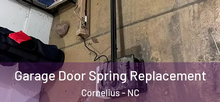  Garage Door Spring Replacement Cornelius - NC