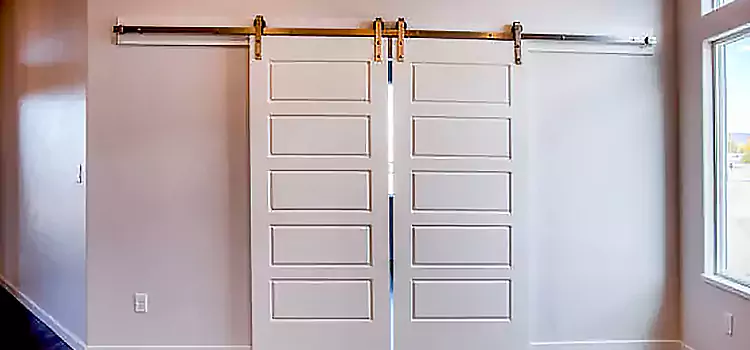 Glass Barn Door with Installation Hardware Kit Cornelius