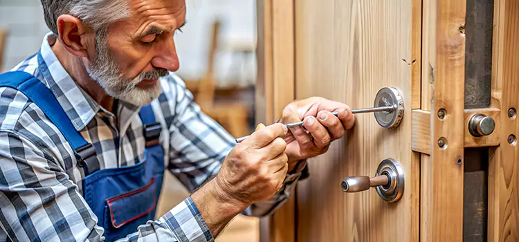 Mortise Replacement Lock Cornelius