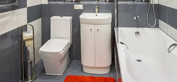 Hansgrohe Shaving Mirror Cornelius