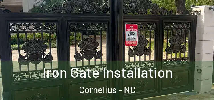  Iron Gate Installation Cornelius - NC