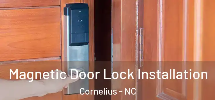  Magnetic Door Lock Installation Cornelius - NC