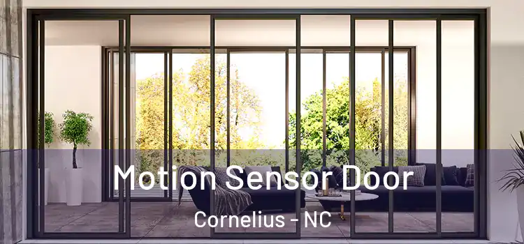  Motion Sensor Door Cornelius - NC