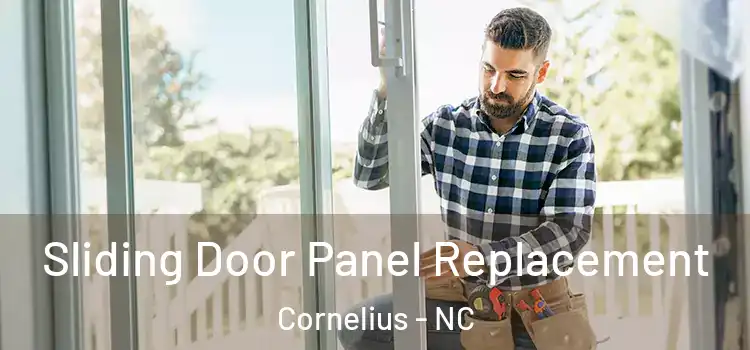  Sliding Door Panel Replacement Cornelius - NC