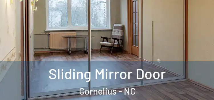 Sliding Mirror Door Cornelius - NC